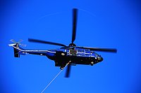 IMG_7352.JPG